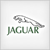 Jaguar company logo