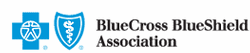 Blue Cross Blue Shield Logo