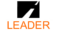 Leader Insurance Co