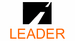 Leader Insurance Co logo